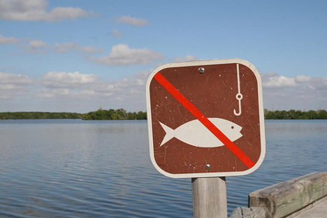 Забраниха любителския риболов