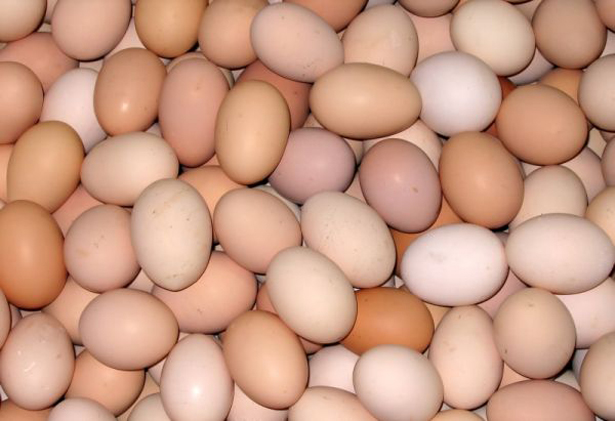 Цените на яйцата са скочили с над 23% за една година