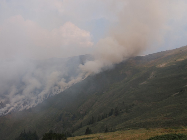 Пожар горя в природен резерват „Централен Рилски”