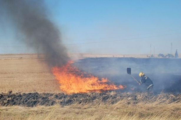 Пожар на Ридо вдигна на крак огнеборци и лесничеи