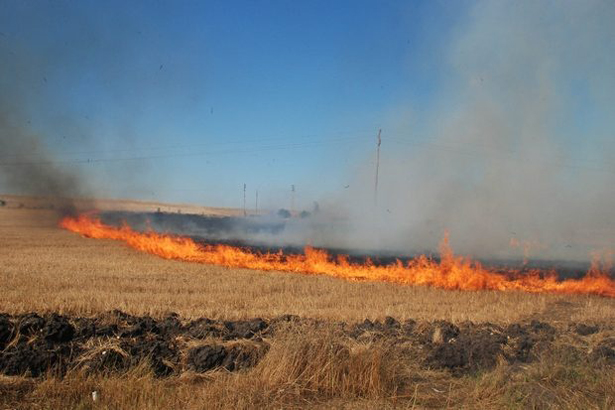 Полето край Самоков продължава да гори и дими
