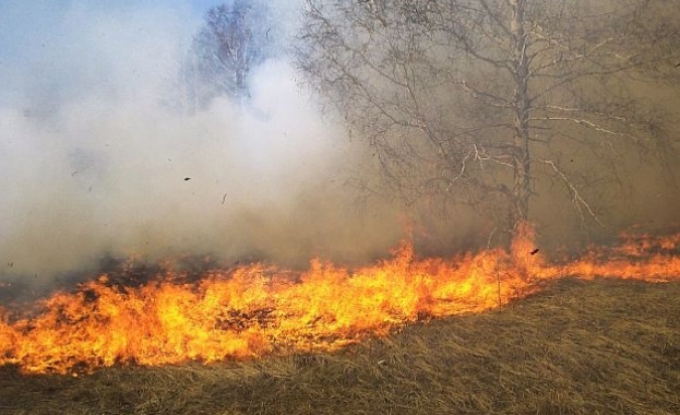 Пожар изпепели 25 дка общински гори
