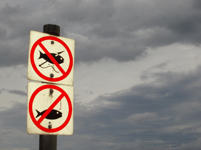 От 15 април любителският риболов е забранен
