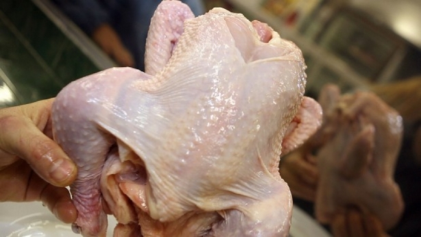 Откриха заразени със салмонела пилета в търговската мрежа