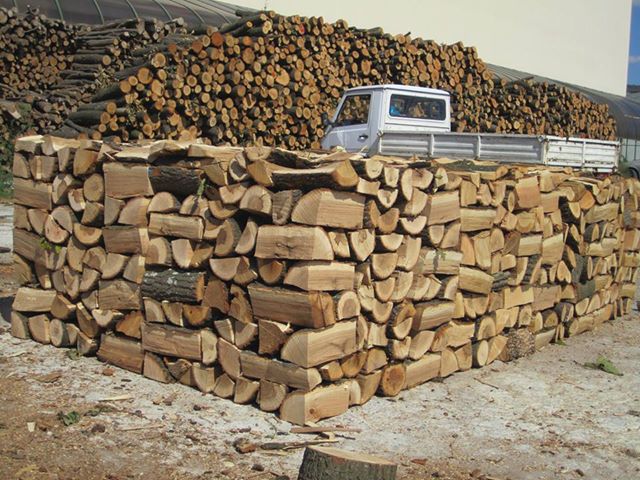 Общинско лесничейство Самоков изостава в снабдяването с дърва за огрев