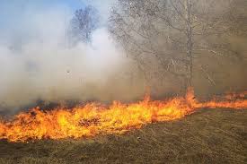 Пожар в Лаго вдигна на крак огнеборците в Самоков