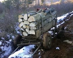Иззеха две каруци с незаконна дървесина при среднощна акция в Самоков