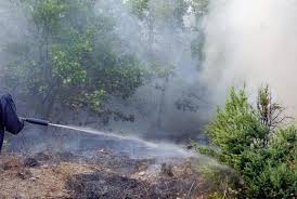 Пожар на Ридо вдигна на крак огнеборците