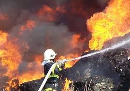 48 пожара от началото на годината са засегнали 1 456 декара гори на територията на ЮЗДП