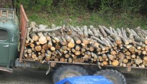 Спипаха криминално проявен самоковец с 2.54 кубика незаконна дървесина