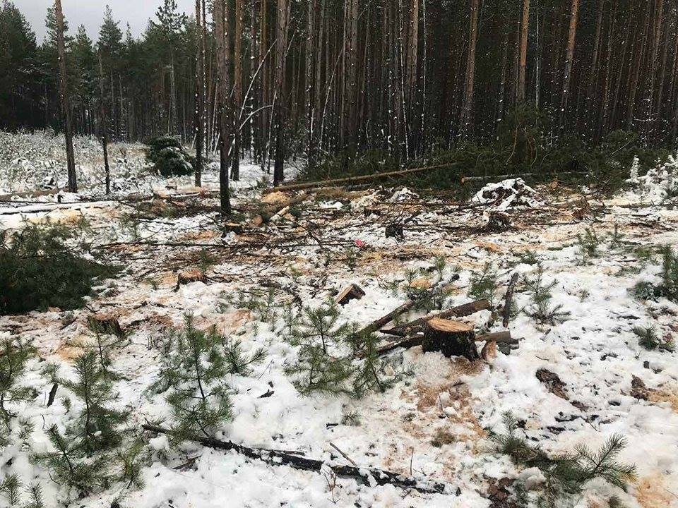 Поредно нападение на бракониери над горски служители в Самоков