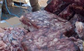 Най-драстични нарушения при производство, преработка, съхранение и търговия с месо и месни продукти са установени в Самоков