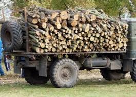 Четири акта за незаконна дървесина в землището на Самоков издадоха служители на РДГ