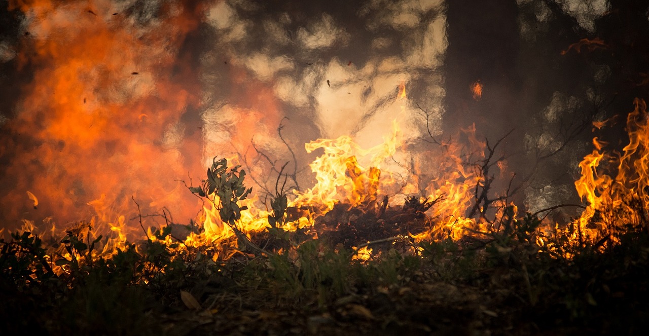 Голям пожар се разрази в Рила – обхвана над 200 дка