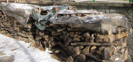 Нова мода! Самоковци крадат дърва не само от горите, а и от съгражданите си