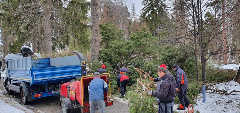 Екипи на Противопожарна служба, Гражданска защита и Община-Самоков събраха падналите дървета