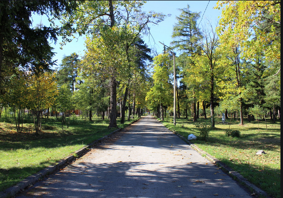 Кметът определи със заповед организацията и реда на посещенията в парковете на община Самоков