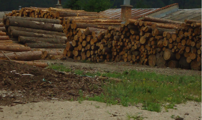 Актове за незаконна дървесина и други нарушения на гатер в самоковското село Говедарци