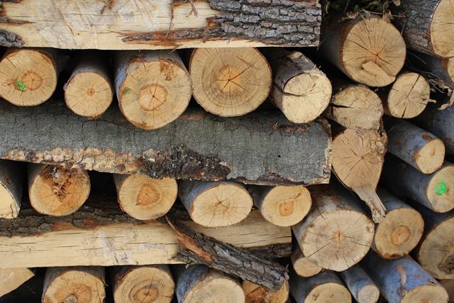 Откриха 6 кубика незаконна дървесина в Широки дол