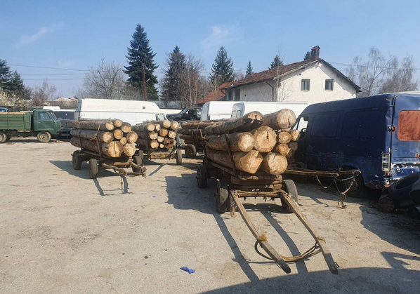 Полиция и горски инспектори иззеха две каруци с незаконна дървесина в района на Самоков