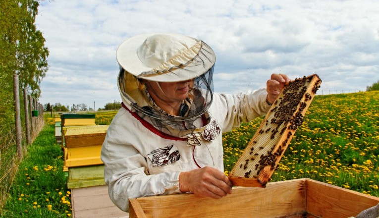 Започна подписването на договори по Програмата по пчеларство
