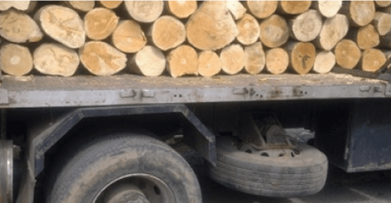 Служители на ЮЗДП задържаха камион с 10 кубика незаконни дърва край самоковското с. Марица