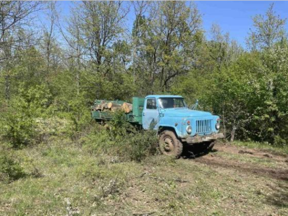 Девет акта за нарушения на Закона за горите в Самоков от началото на септември съставиха проверяващи