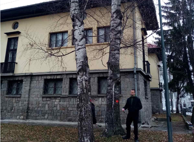 Служители на отдел „Екология“ в община Самоков започнаха оглед и маркиране на опасните дървета