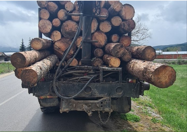 Камион с „дублиран“ курс превозвана дървесина задържаха екипи на ЮЗДП в ДГС-Самоков