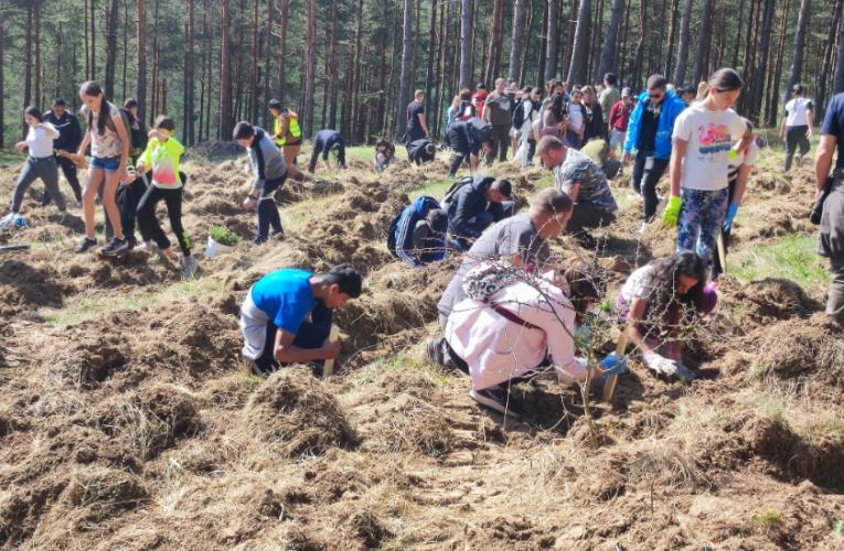 Над 500 ученици от Самоков се включиха в акция по залесяване в Седмицата на гората