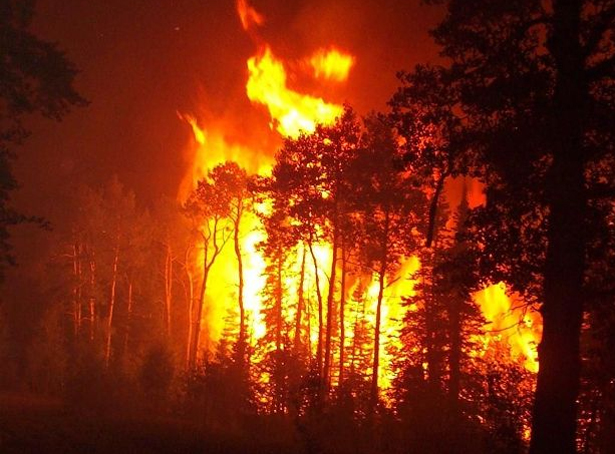 Пожар вилня и в парк „Ридо” край Самоков